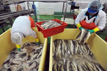 Верховный суд отклонил иск об отмене запрета на ввоз рыб