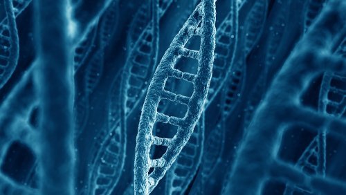 Ученым удалось превратить ДНК в устройство биологической перезаписываемой памяти