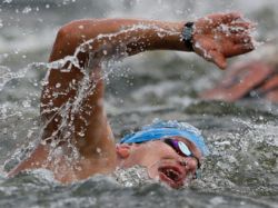 Россия осталась без золота Олимпиады-2012 в плавании