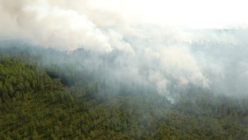 В Сибири огнем охвачена почти 1 тысяча гектаров леса