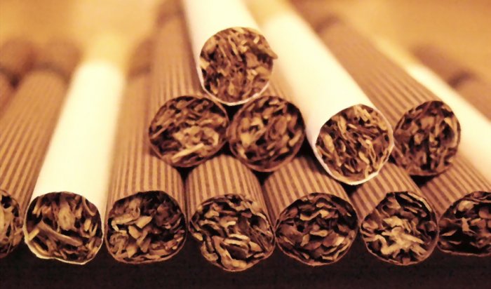 Минздрав предложил повысить акцизы на табак в 11 раз