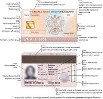 Бумажные паспорта будут действительны в России до 2025 года