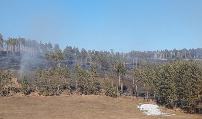 В Приангарье за прошедшие сутки зарегистрировано четыре лесных пожара