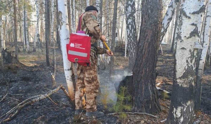 В Приангарье потушили 12 лесных пожаров