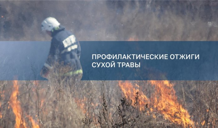 Сегодня, 20 апреля, в Ленинском районе Иркутска пройдут отжиги сухой травы