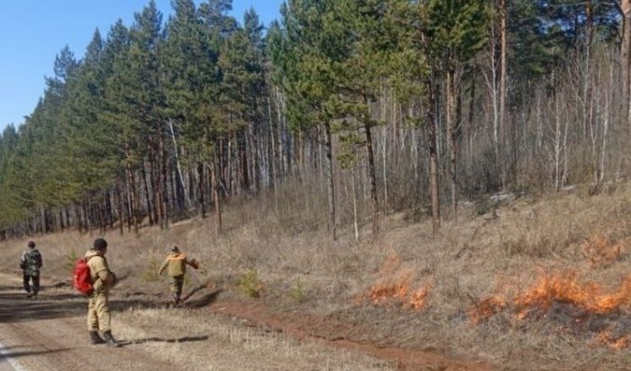 Два лесных возгорания потушили за сутки в Приангарье
