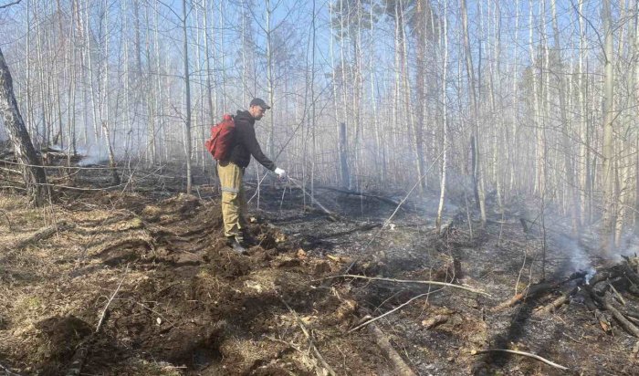 Два лесных пожара потушили в Приангарье
