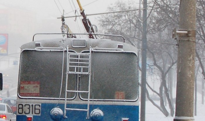 В Новосибирске водитель троллейбуса приняла роды у пассажирки