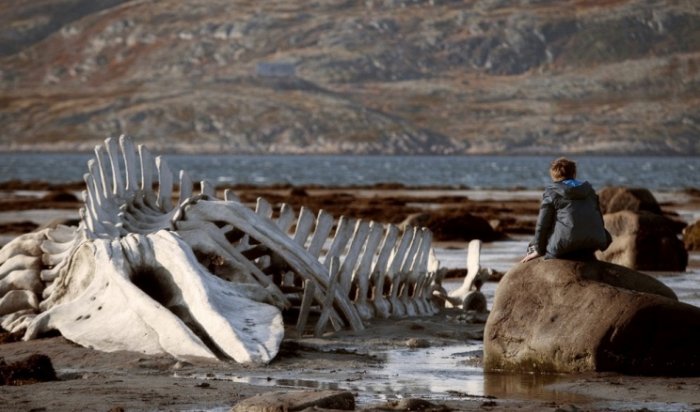 Российский бизнесмен купил муляж скелета кита из фильма "Левиафан