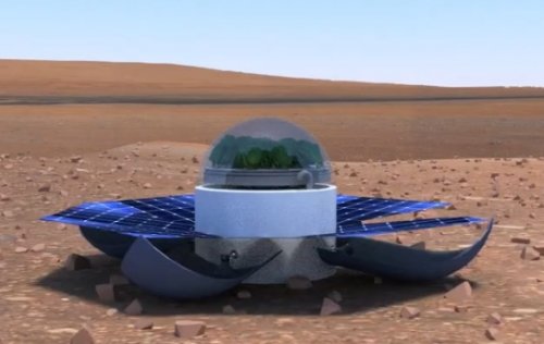 В 2021 году на Марсе могут появиться первые живые растения
