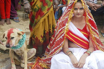 Индийская девушка вышла замуж за собак