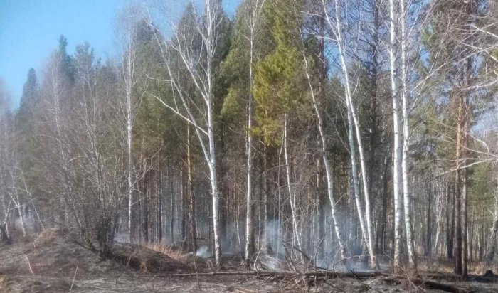 Один лесной пожар потушили в Приангарье за сутки