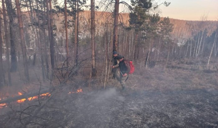 Два лесных пожара потушили в Приангарье за сутки