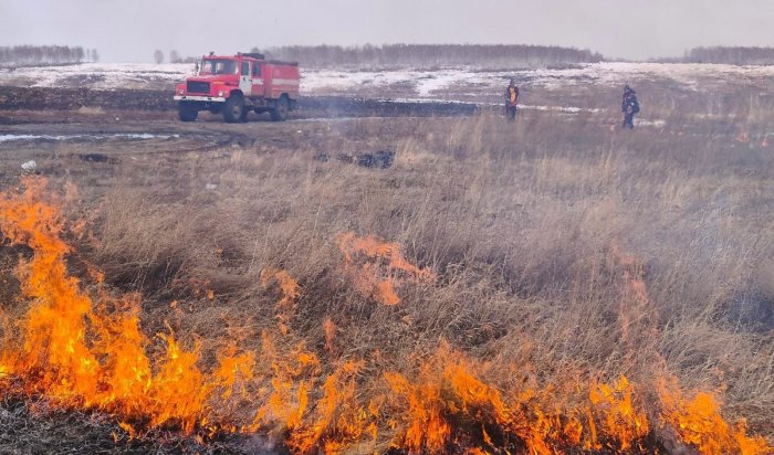В лесном фонде Иркутской области потушили шесть пожаров