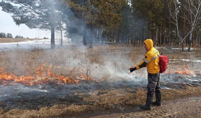 41 га лесных пожаров потушили в Иркутской области