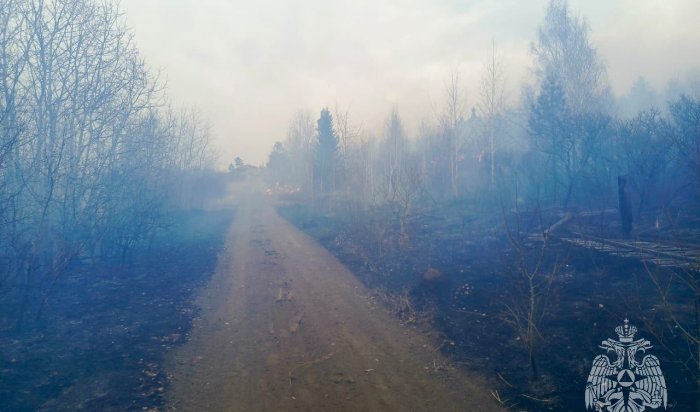 За один день в Братске сгорели 16 дач и 14 хозпостроек