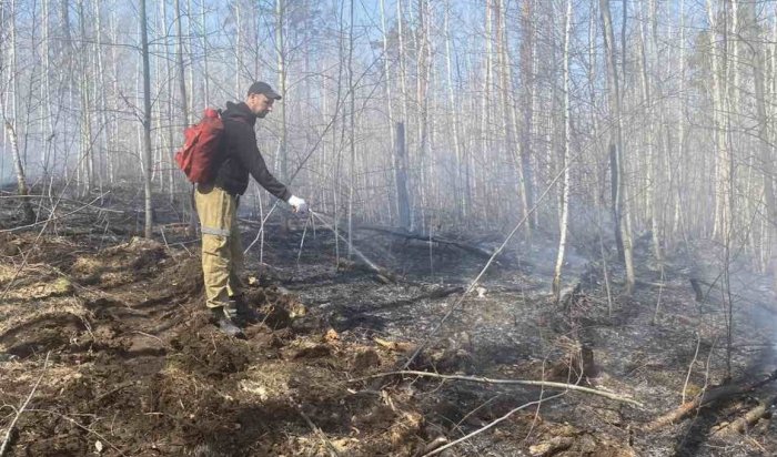 За прошедшие сутки в лесах Приангарья устранили 10 пожаров