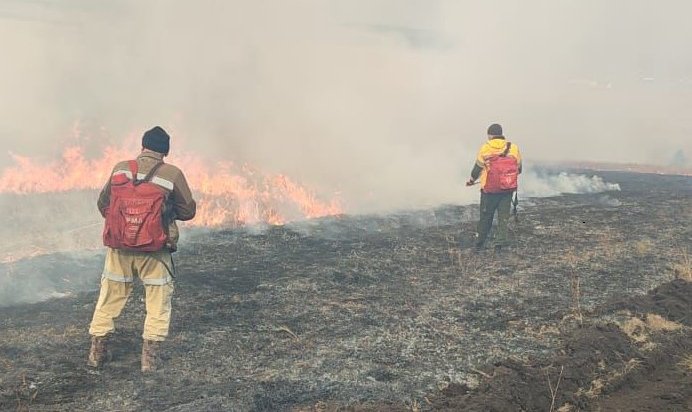 Семь лесных пожаров потушили в Приангарье