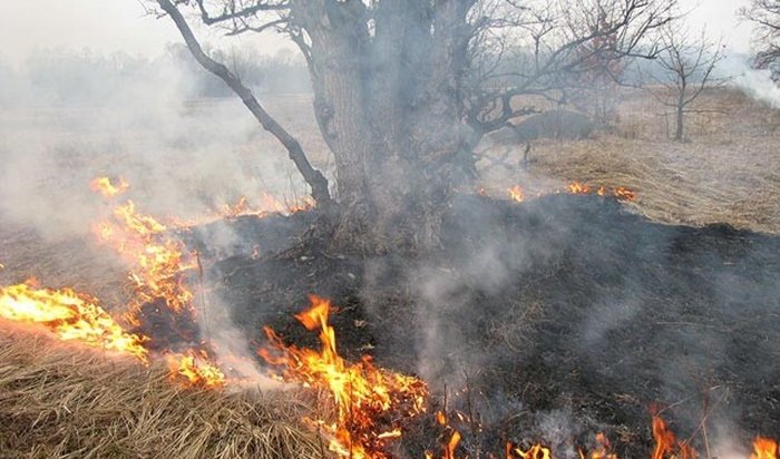 2 мая в лесном фонде Иркутской области потушено пять пожаров