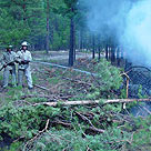 Иркутская область готова к пожароопасному периоду на 80% – агентство лесного хозяйства