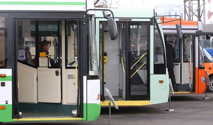 В России начнут досматривать пассажиров всех видов общественного транспорта