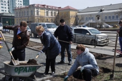 Депутаты Думы высадили деревья на Нижней Набережной