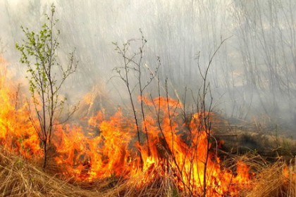 На территории Иркутска запрещены работы по отжигу прошлогодней трав