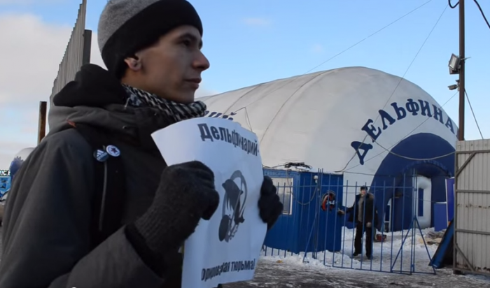 В Иркутске защитники животных выступили против Московского передвижного дельфинария (Видео