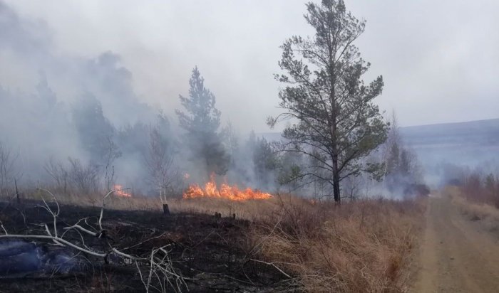 Почти 100 га лесных пожаров потушили в Иркутской области