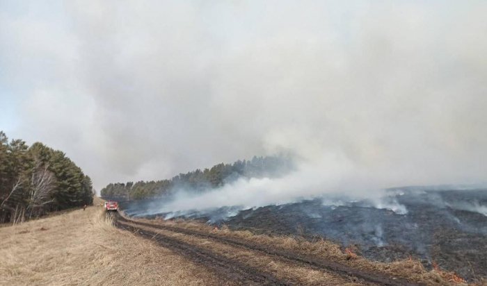 Более 145 га леса горело в Приангарье