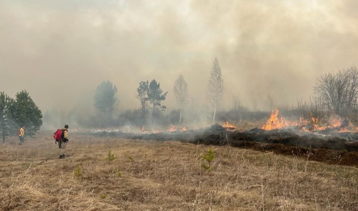 В лесах Приангарья накануне потушено 17 возгораний