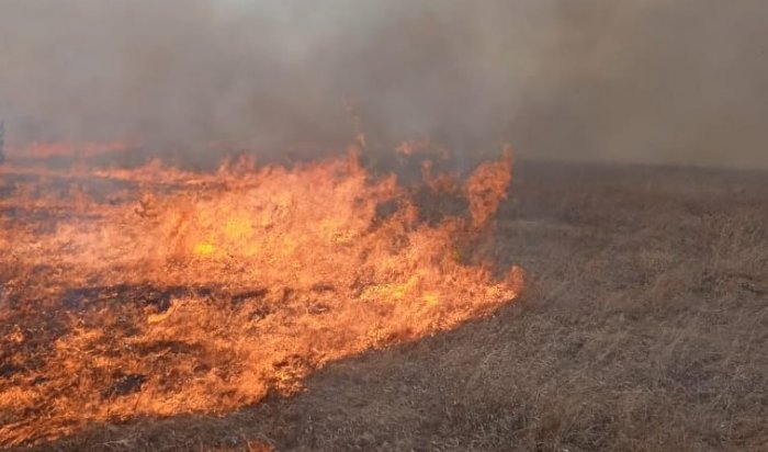 23 лесных пожара потушили за сутки в Приангарье