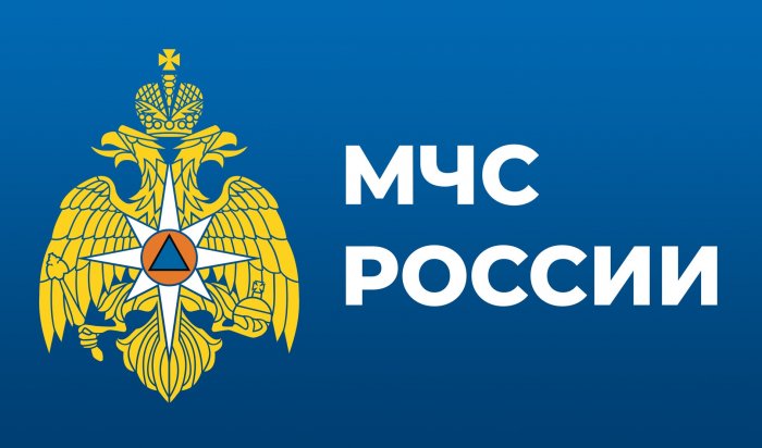 МЧС России выпустило собственное мобильное приложение