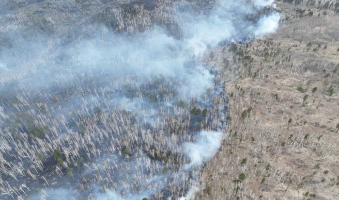 Более 2 350 га лесных пожаров потушили в Иркутской области