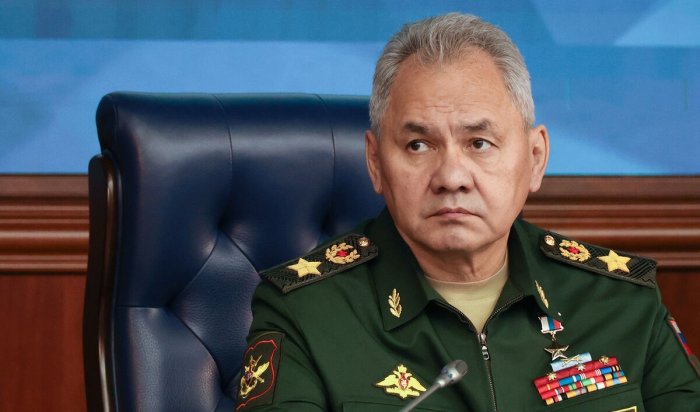 Путин уволил Шойгу с поста министра обороны
