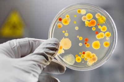 Вспышка сальмонеллеза в детском саду: число пострадавших выросло до 24 человек, очаг инфекции не найден