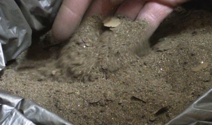 10 кг золота найдено в лесном тайнике у жителей Бодайбинского района