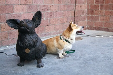 Памятник собаке появился в 130 квартале