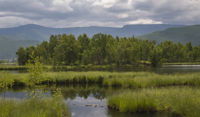 В Приангарье появился новый памятник природы регионального значения «Таловский озерно-болотный комплекс»