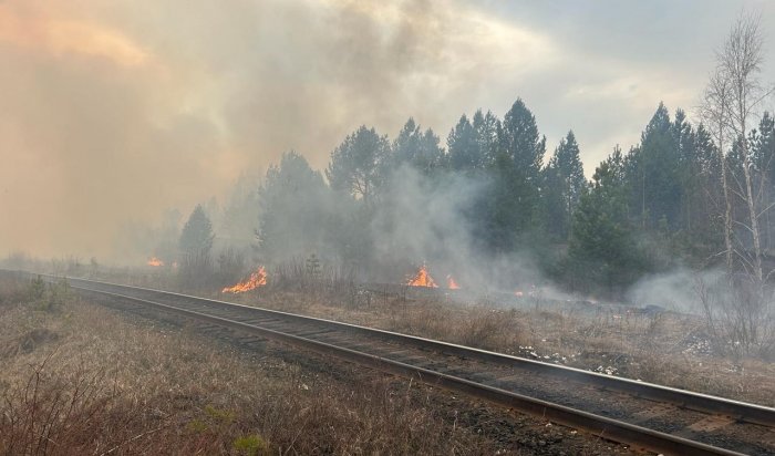 Накануне в лесах Приангарья потушили 11 пожаров