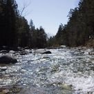 Общественное движение «Чистые воды Прибайкалья» создано в Иркутской области