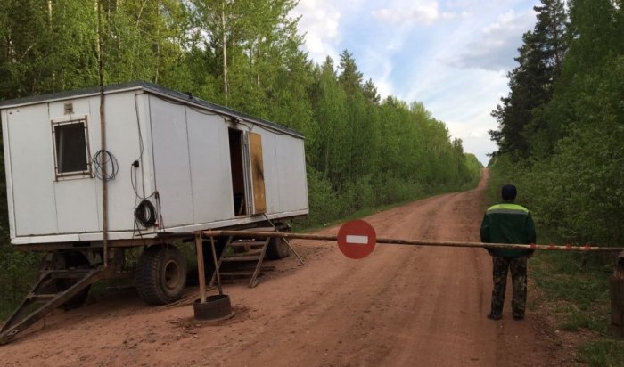 В Иркутской области ужесточили ограничения на пребывание граждан в лесу