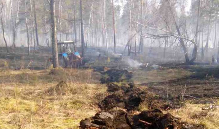 Восемь лесных пожаров потушили за сутки в Иркутской области