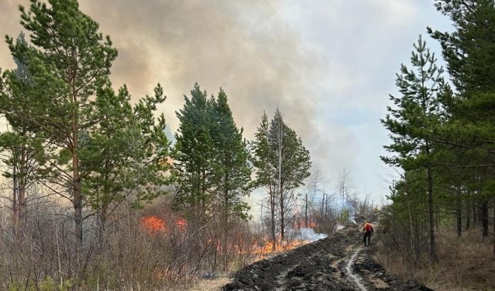 Три пожара потушили накануне в лесах Приангарья