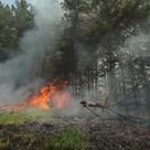 Межведомственная комиссия по готовности к лесопожарному периоду будет создана в Иркутской области
