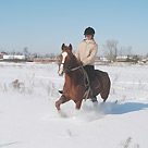 На создание отделения конного спорта в Усть-Ордынском направлено более 2,5 млн. рублей