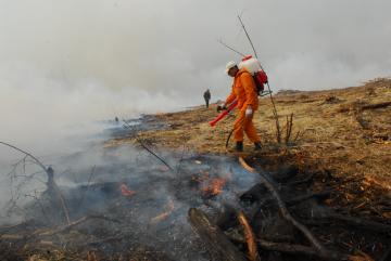 В Иркутской области ликвидированы 6 из 7 лесных пожаров