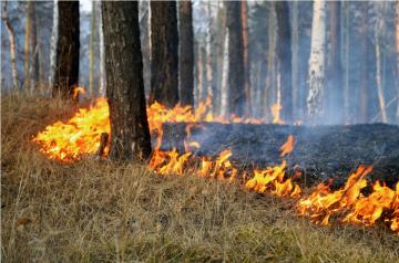 На территории Приангарья введен особый противопожарный режим