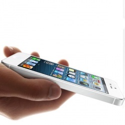 Иркутянин выплатил алименты в 130 тыс.рублей после ареста его iPhone