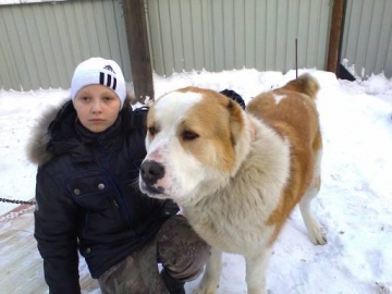 В Иркутске разыскивается 10-летний мальчик